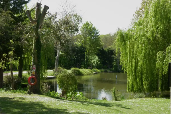 A peaceful lakeside scene with lush green trees, a calm pond, and flowering ground cover under bright sunlight.