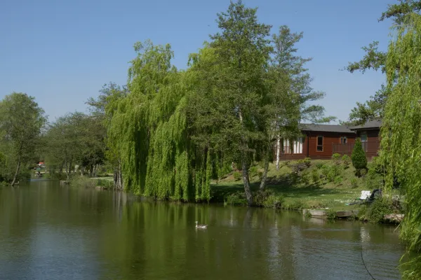 A peaceful lakeside scene with trees, a boat, and a wooden house in the background on a sunny day with clear blue skies.