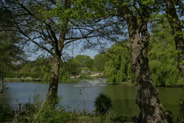 A peaceful scene of a lake surrounded by tall trees with green leaves, some trees casting shadows on the water on a sunny day.